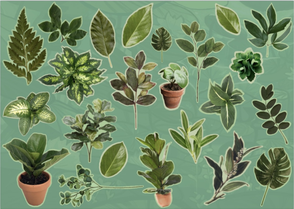 پک گیاهان کد ۱۲۰۷