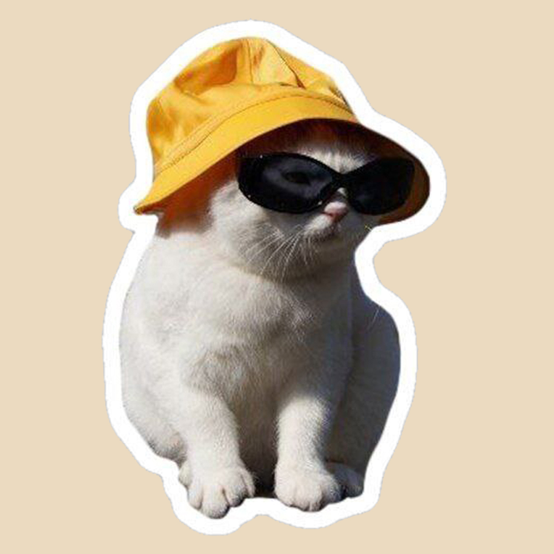 استیکر cat کد 1172