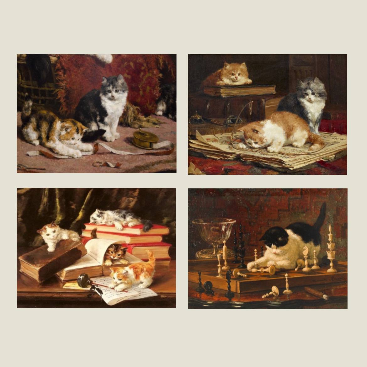 پک پوستر گربه ها