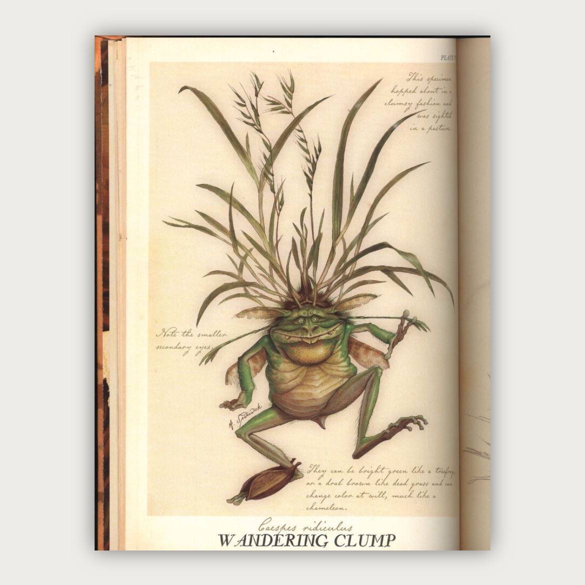 پوستر Wandering clump