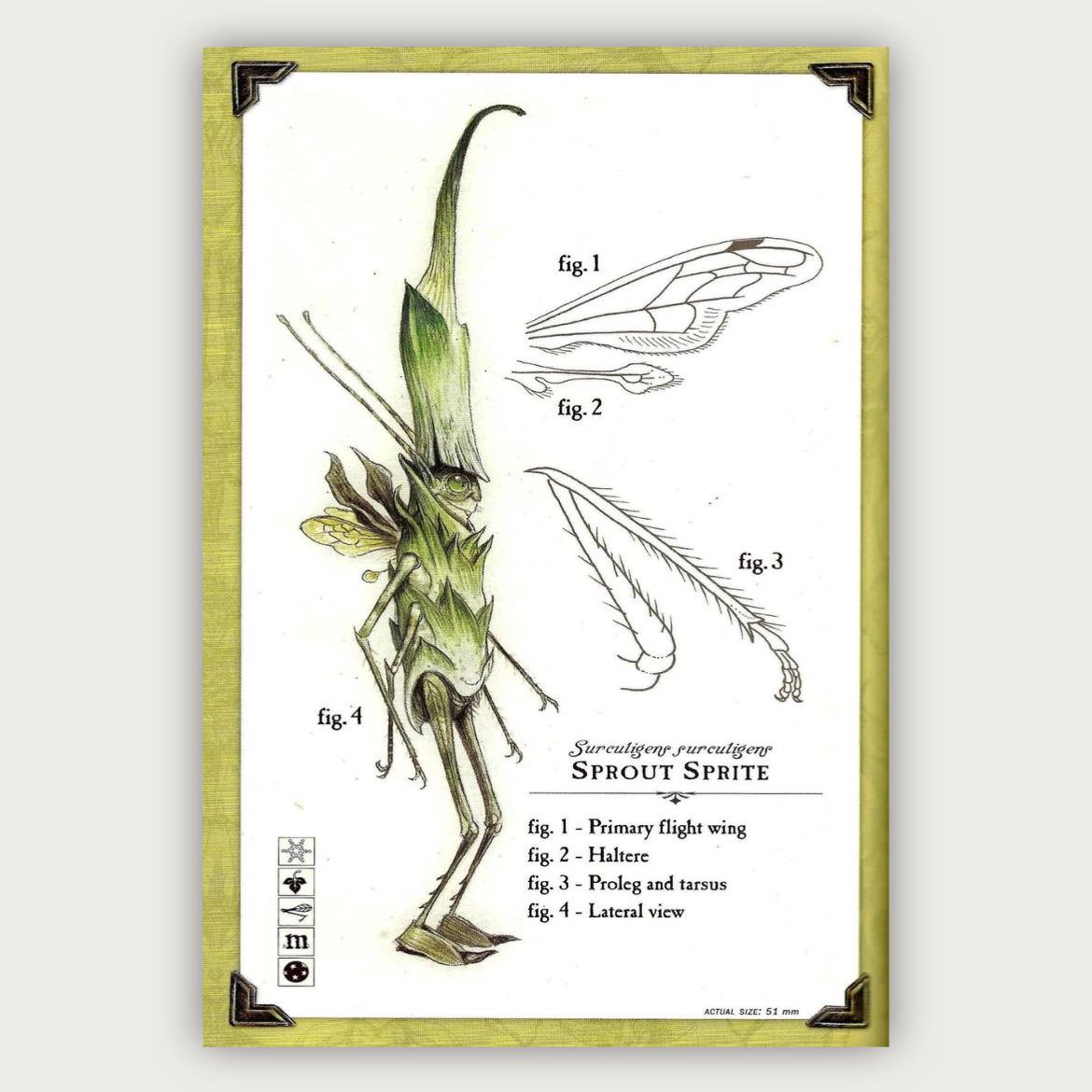 پوستر Sprout sprite